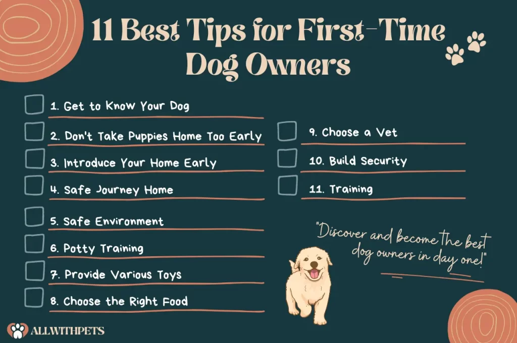 Best Tips for First Time Dog Owners