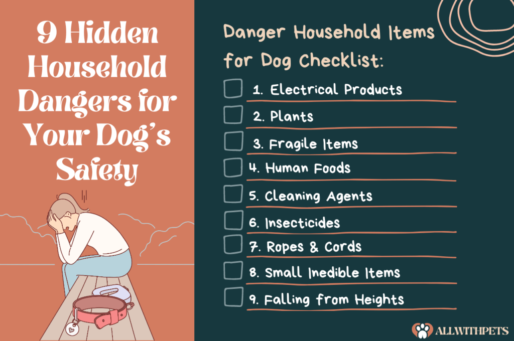 9 Hidden Household Dangers for Your Dog's Safety