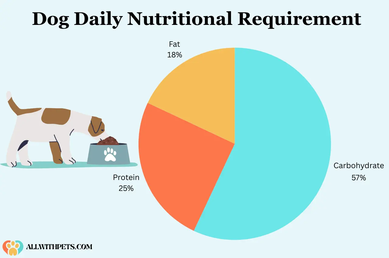 Dog Daily Nutritional Requirement